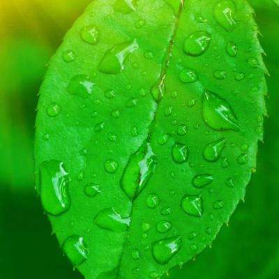 乐鱼官网下载手机版